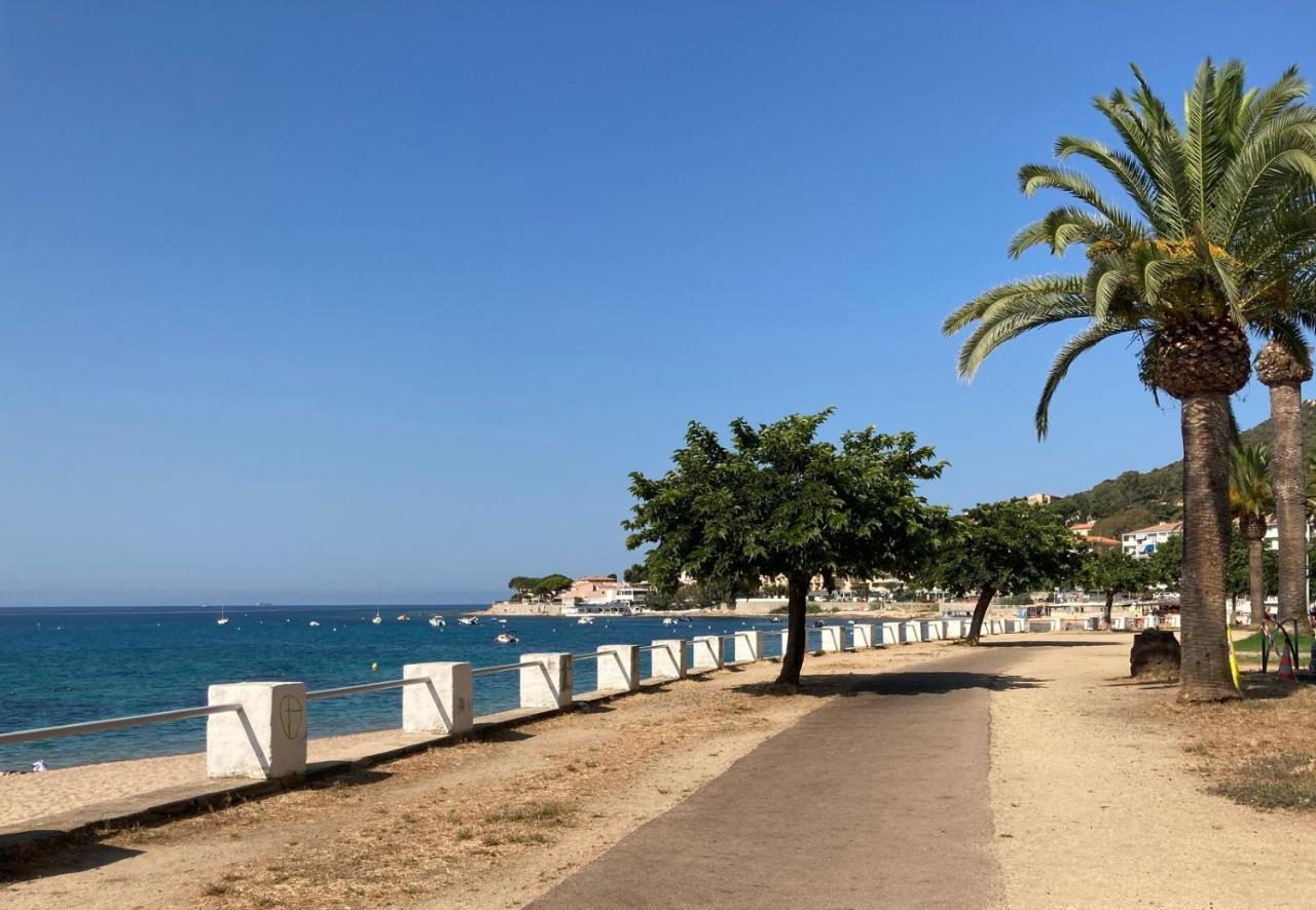 50m2 Pied Dans L'eau